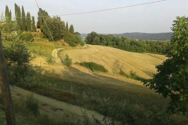 Casa Michelangelo Apartman Megognano Kültér fotó