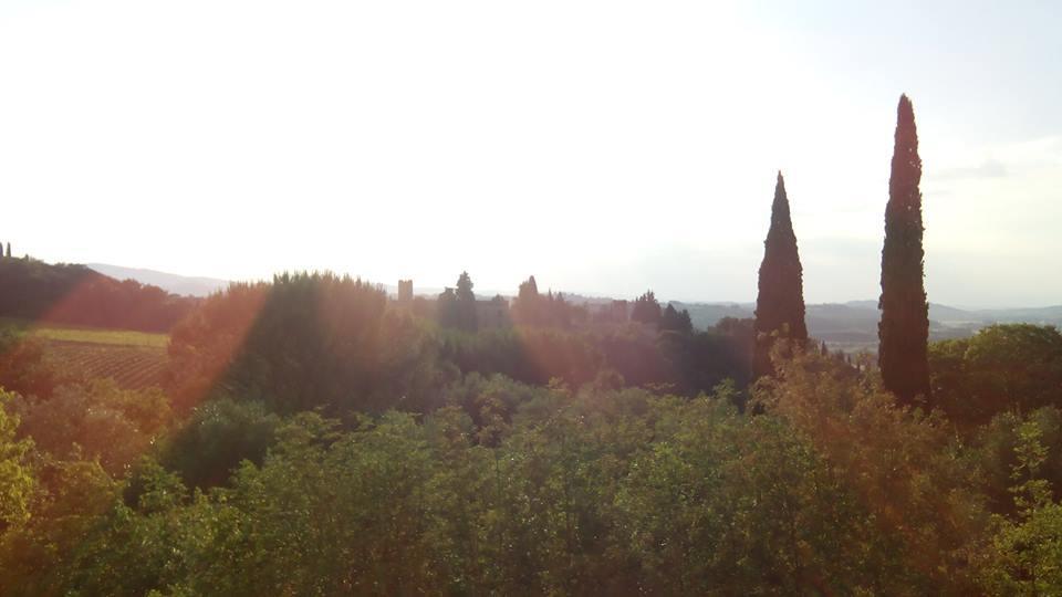 Casa Michelangelo Apartman Megognano Kültér fotó