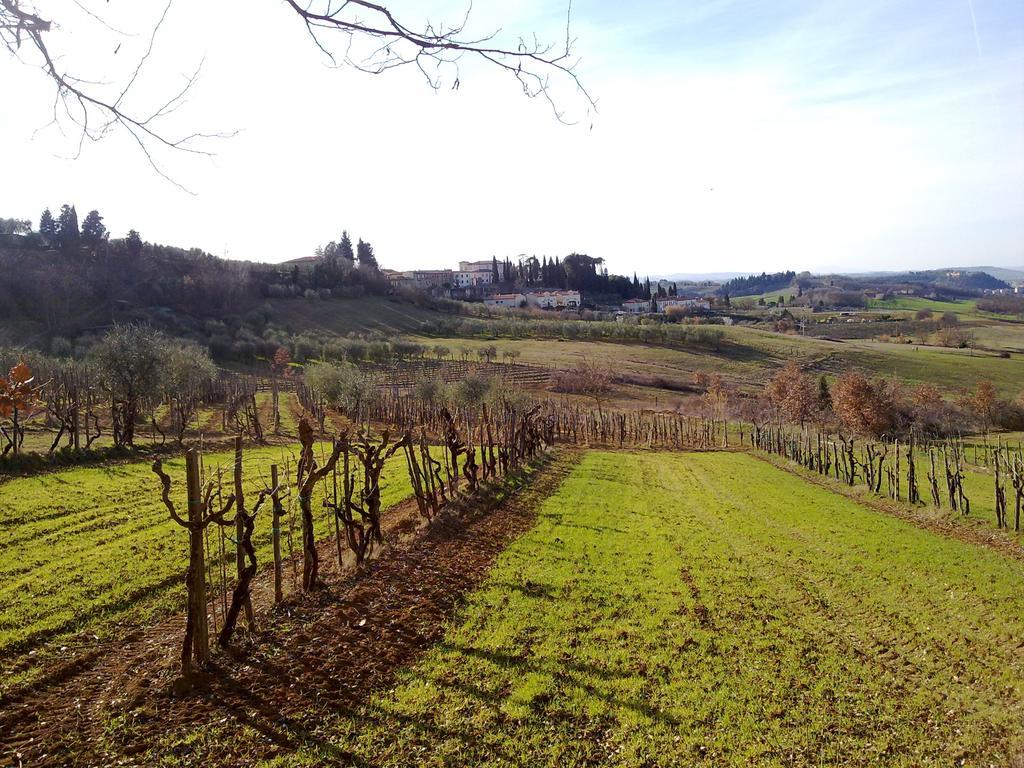 Casa Michelangelo Apartman Megognano Kültér fotó